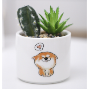Small Plant Pots For Succulents 7*8.5 CM Kitten With Love